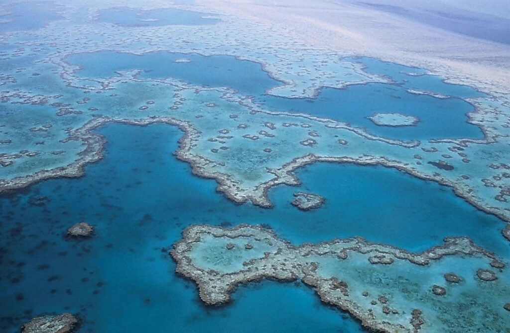 great barrier reef, corals, australia, queensland, ocean, island empire, aerial view, coral reef, great barrier reef, great barrier reef, great barrier reef, great barrier reef, great barrier reef